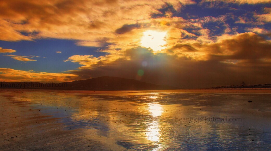 another beautifull place for the dogs, has so much beauty close by.