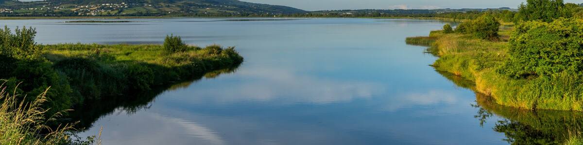 Ein ruhiger See mit einem Berg in der Ferne, umgeben von viel Grün und blauem Himmel.