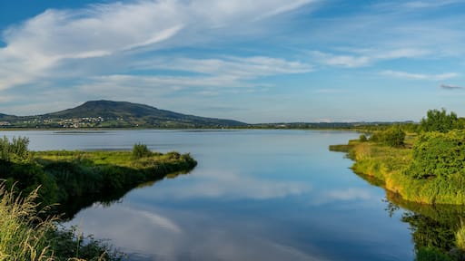 view of the Inch Levels Wildfowl Reserve on Lough Swilly at sunset