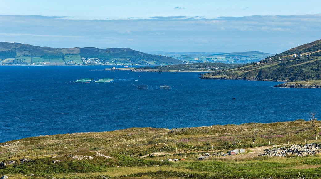 Salmon and oyster cages moored in a fish farm near Rathmullen, Lough Swilly, Donegal, Ireland, where intensive marine aquaculture is a controversial environmental issue.