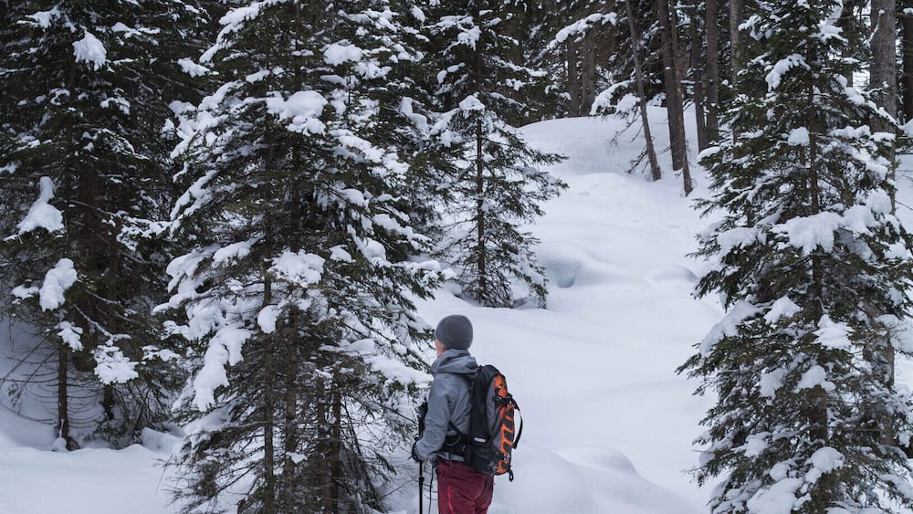 Eine Person wandert durch einen verschneiten Wald mit dichten Nadelbäumen.