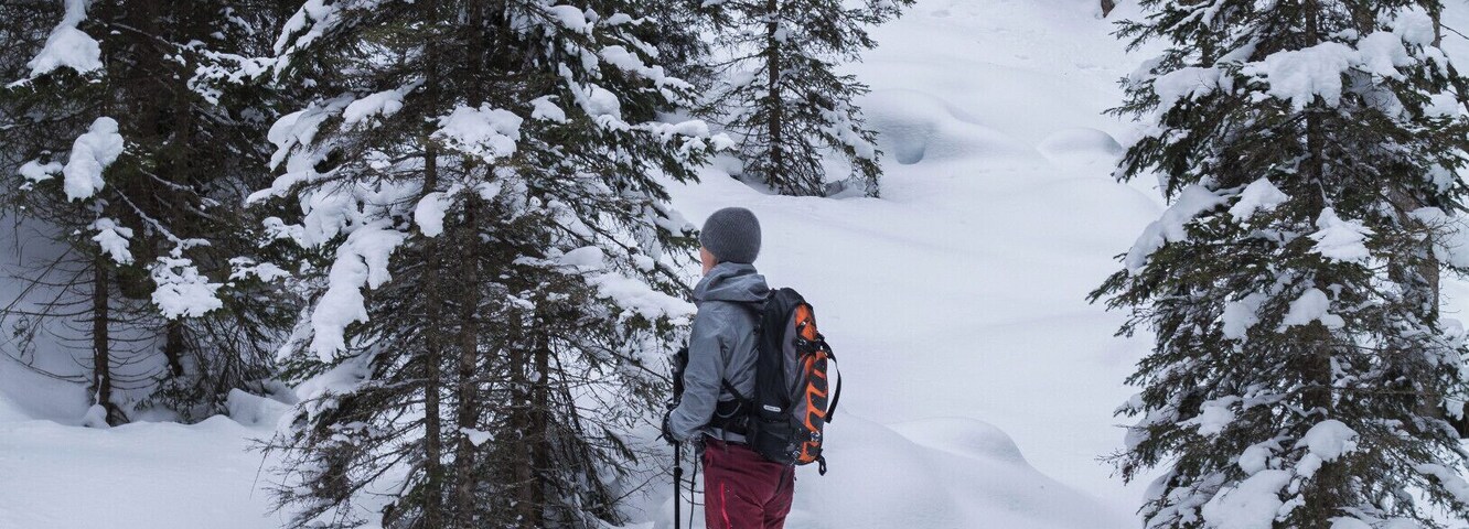 A person hiking in a snowy forest with dense evergreen trees.