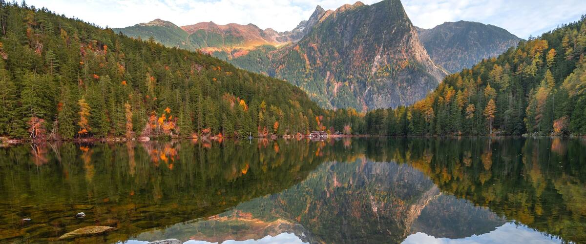A calm lake reflecting mountains, dense forest, and a clear sky.