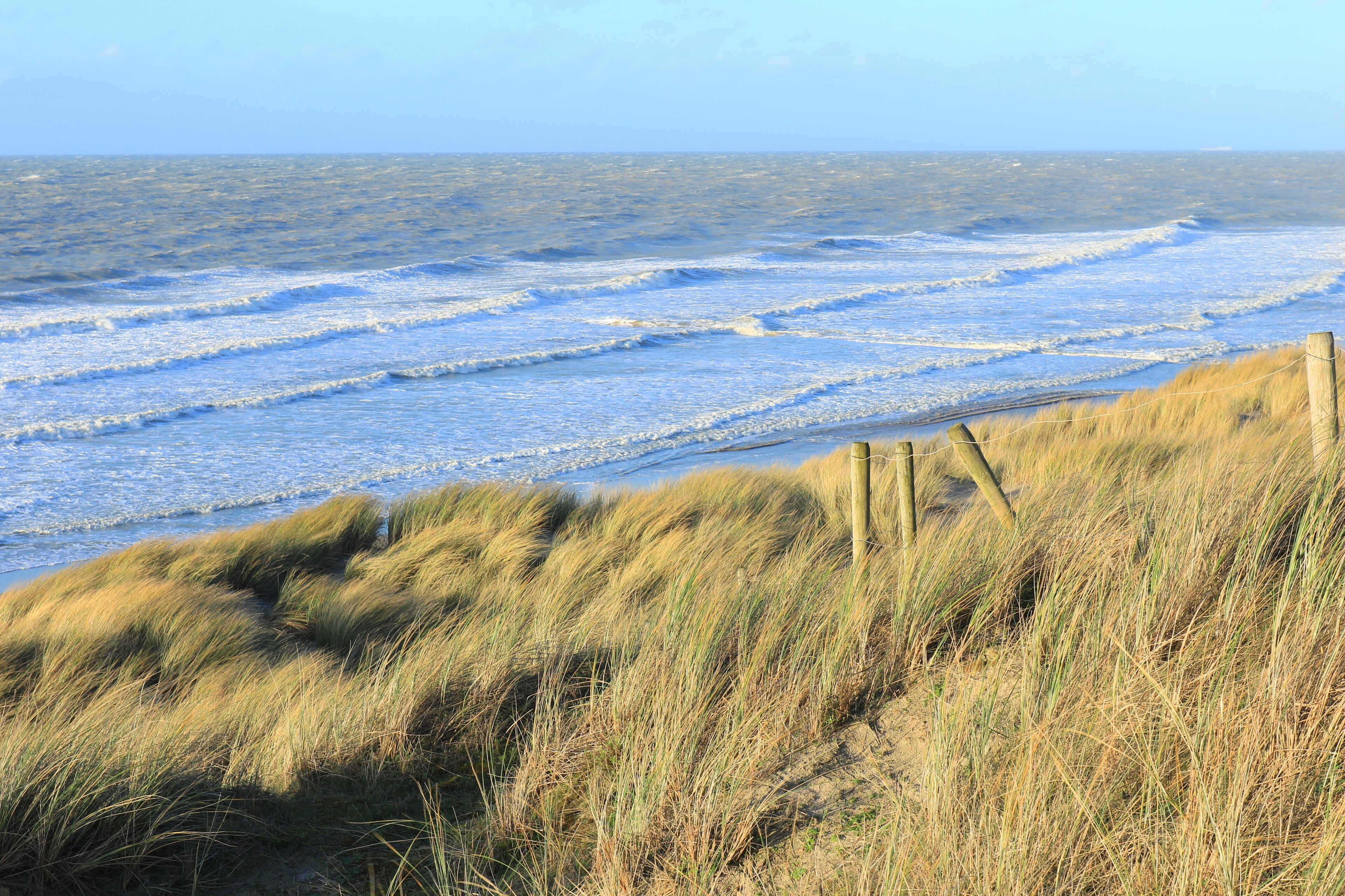 Dünen und Meer bei Bredene