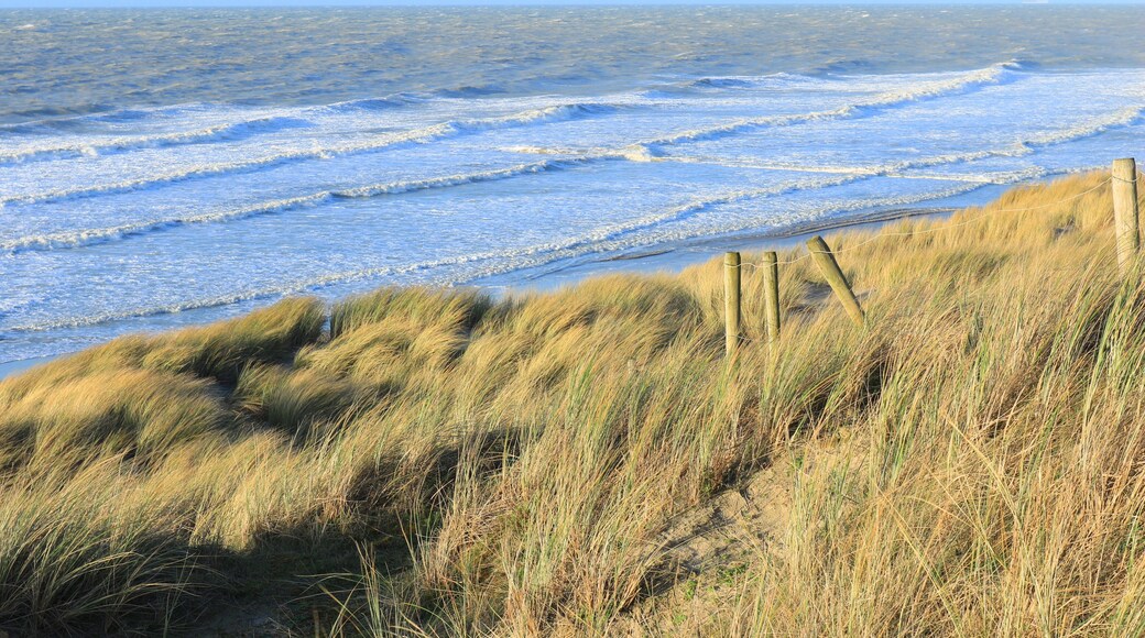 Dünen und Meer bei Bredene