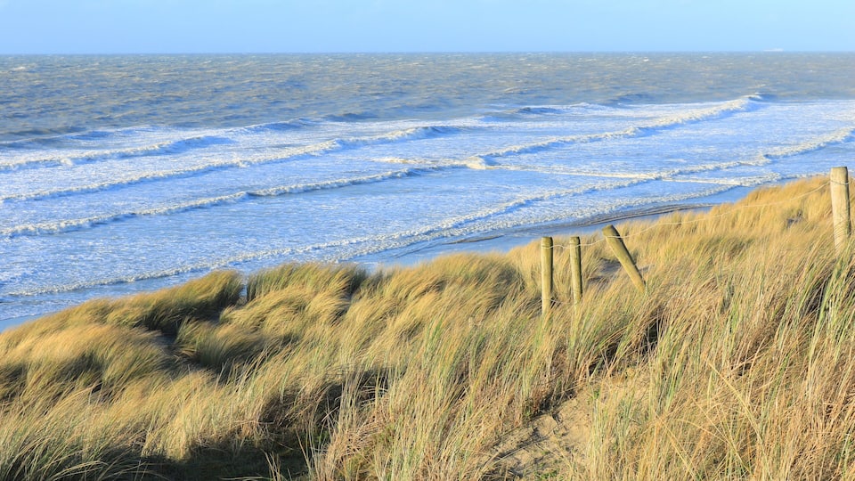 A coastal landscape with waves, grassy dunes, and a wooden fence.