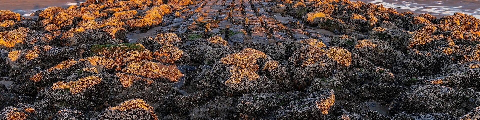 Breakwater with beach cabins panorama at sunset by the North Sea, Bredene, Belgium.
