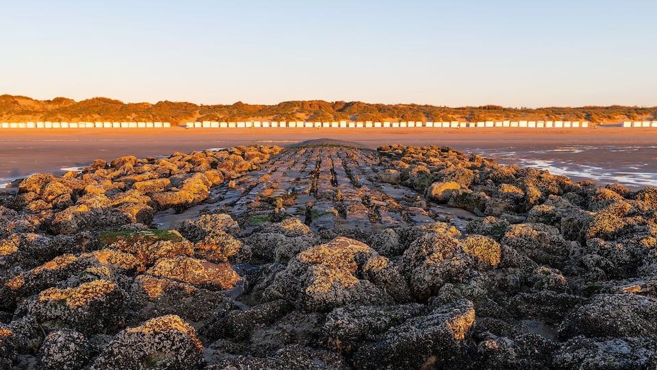 A rocky shoreline with a pier extending into the water.