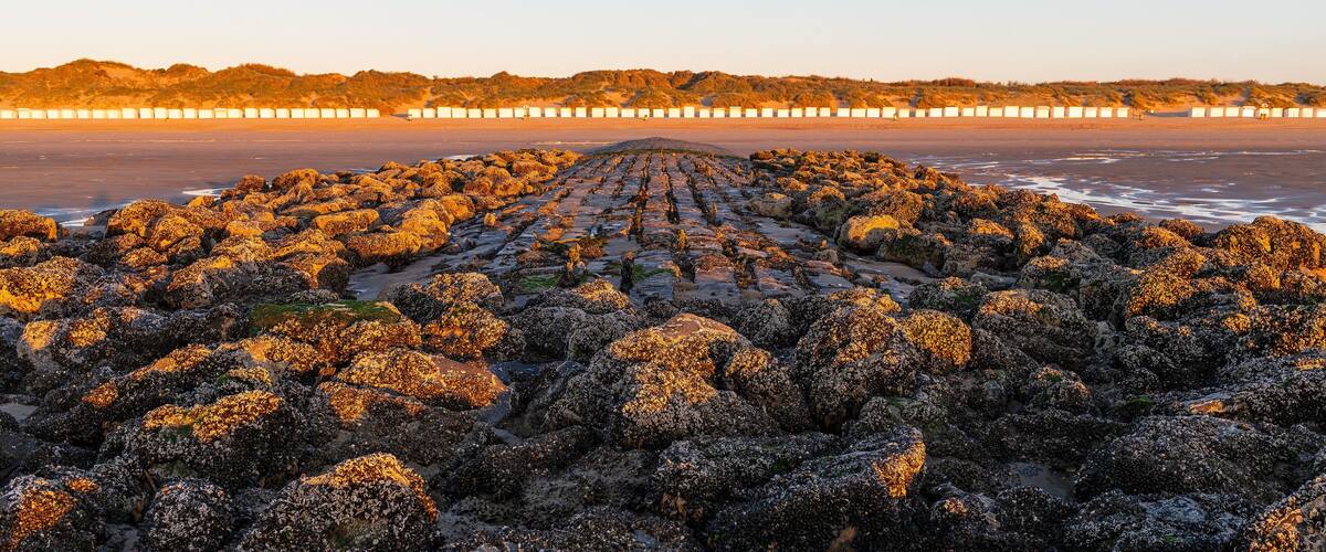 A rocky shoreline with a pier extending into the water.