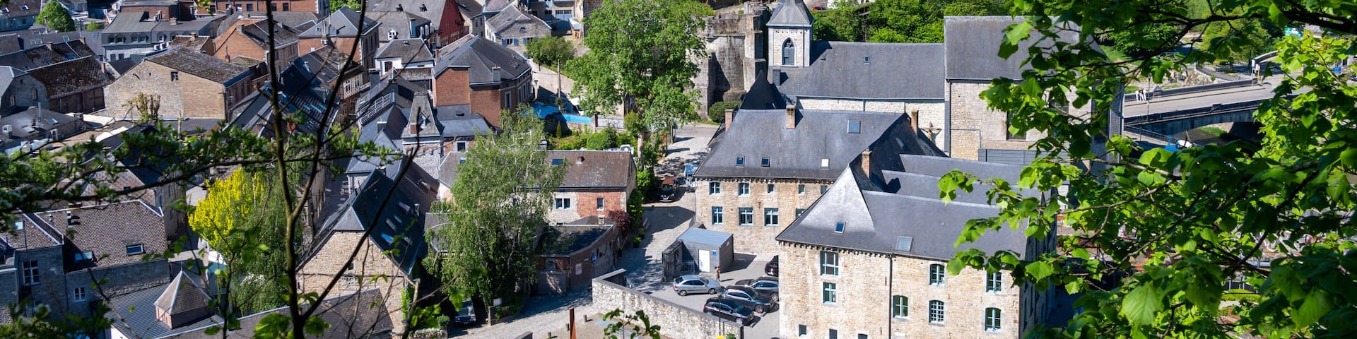A historic town with a prominent castle, surrounded by lush greenery and traditional architecture.