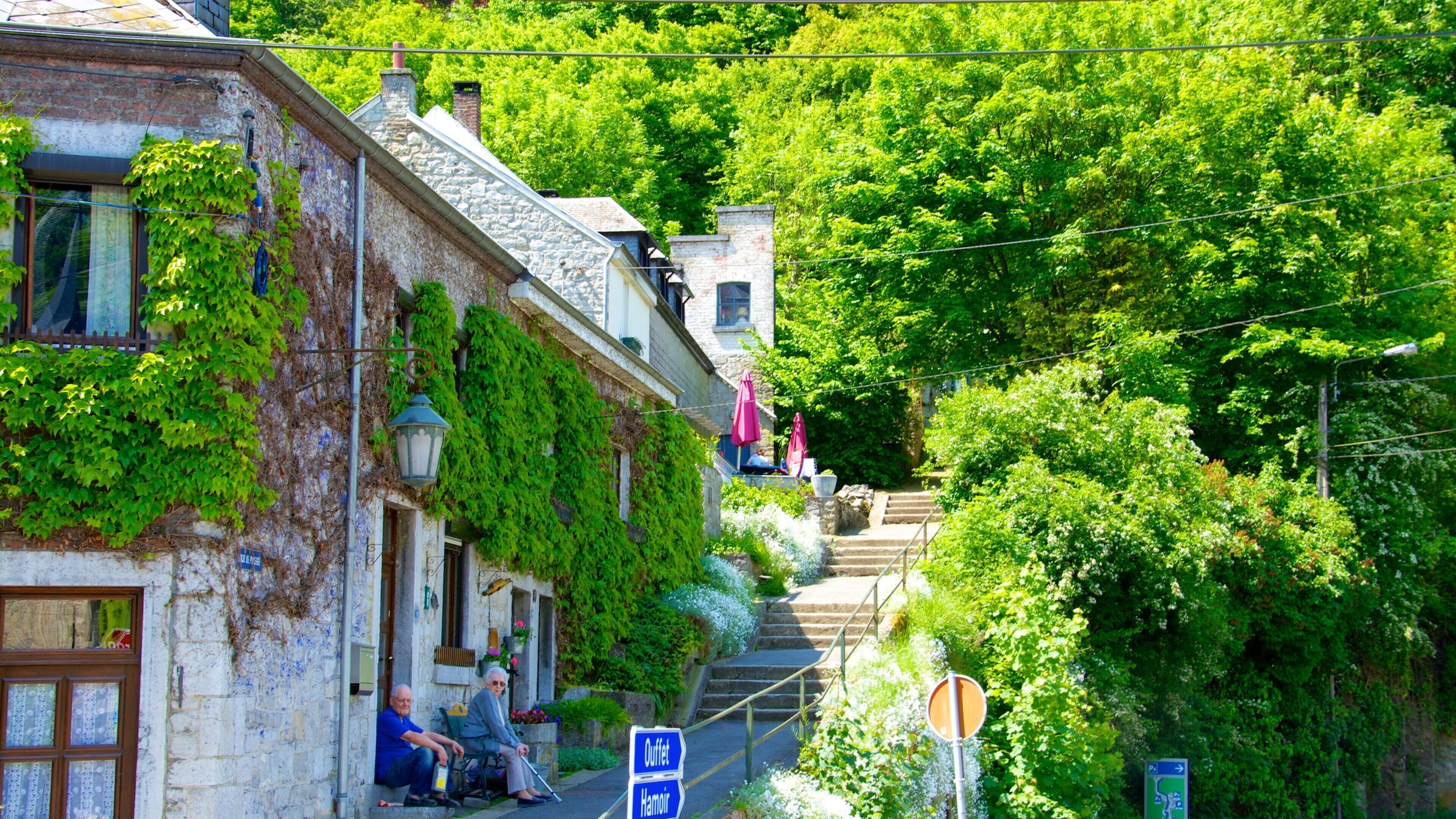 A quaint village street with ivy-covered buildings, a café, and a sign for 'Ouest Hamoir'.
