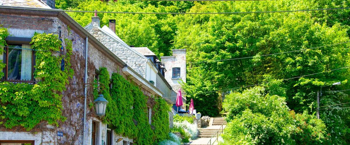 A quaint village street with ivy-covered buildings, a café, and a sign for 'Ouest Hamoir'.