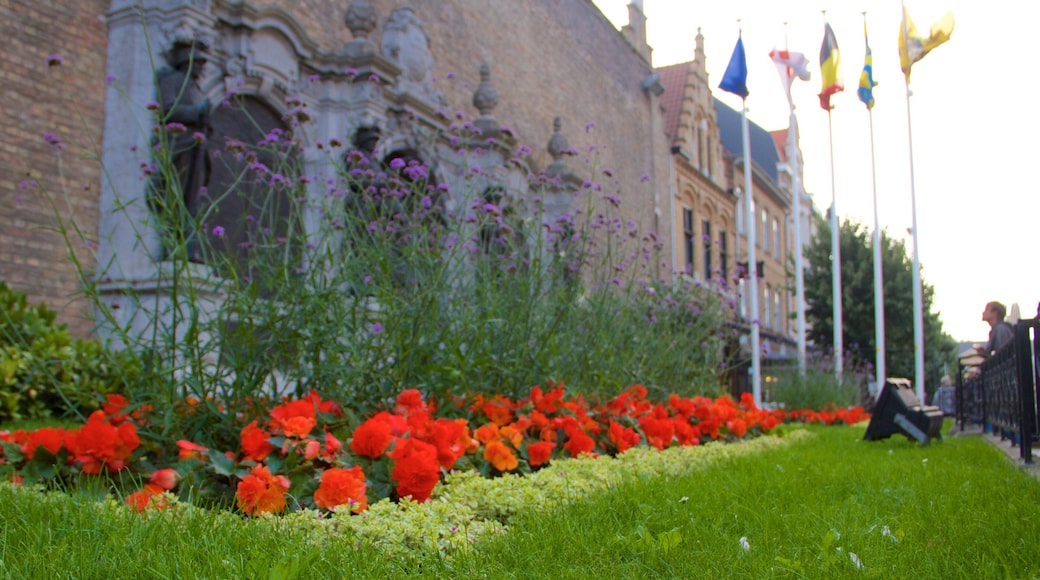 Ypres featuring flowers