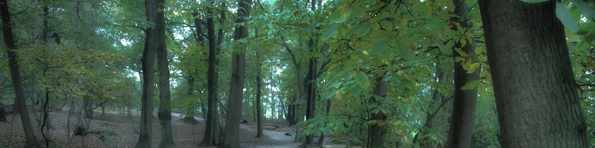 Preserved trenches from WW1 held by the Canadians. Sanctuary wood , where not a solitary tree was left standing. Leper Flanders.
#OnTheRoad