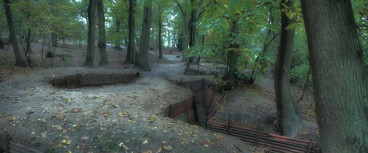 A forest with a dirt path, wooden benches, and leaf-covered ground.