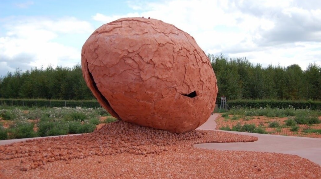 This is the central point of the Coming World Remember Me land art exhibit commemorating the 600000 killed on Ypres Salient between 1914 and 1918.
https://www.visitflanders.com/en/things-to-do/events/top/great-war-centenary/gonewest-coming-world-remember-me-sculptural-art-project.jsp