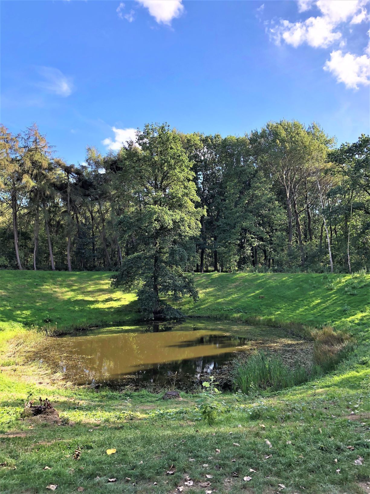 Hill 60 is a World War I battlefield memorial site located almost 5 km south of Ypres. Prior to World War I, the hill was known as Côte des Amants.

The area is covered in pock marks from the mine detonations and underground warfare that became prevalent in WWI. Pictured here is the Caterpillar Crater, where two tunnels were detonated to cause this hole in the landscape. Many soldiers and miners died in the tunnels making Hill 60 a graveyard. 

Now tranquil, the scars on the hills are a reminder of the horrors of war from over 100 years ago. 

German bunkers are also buried in the hills and peek out from under grass that has started to overgrow the remnants of war.