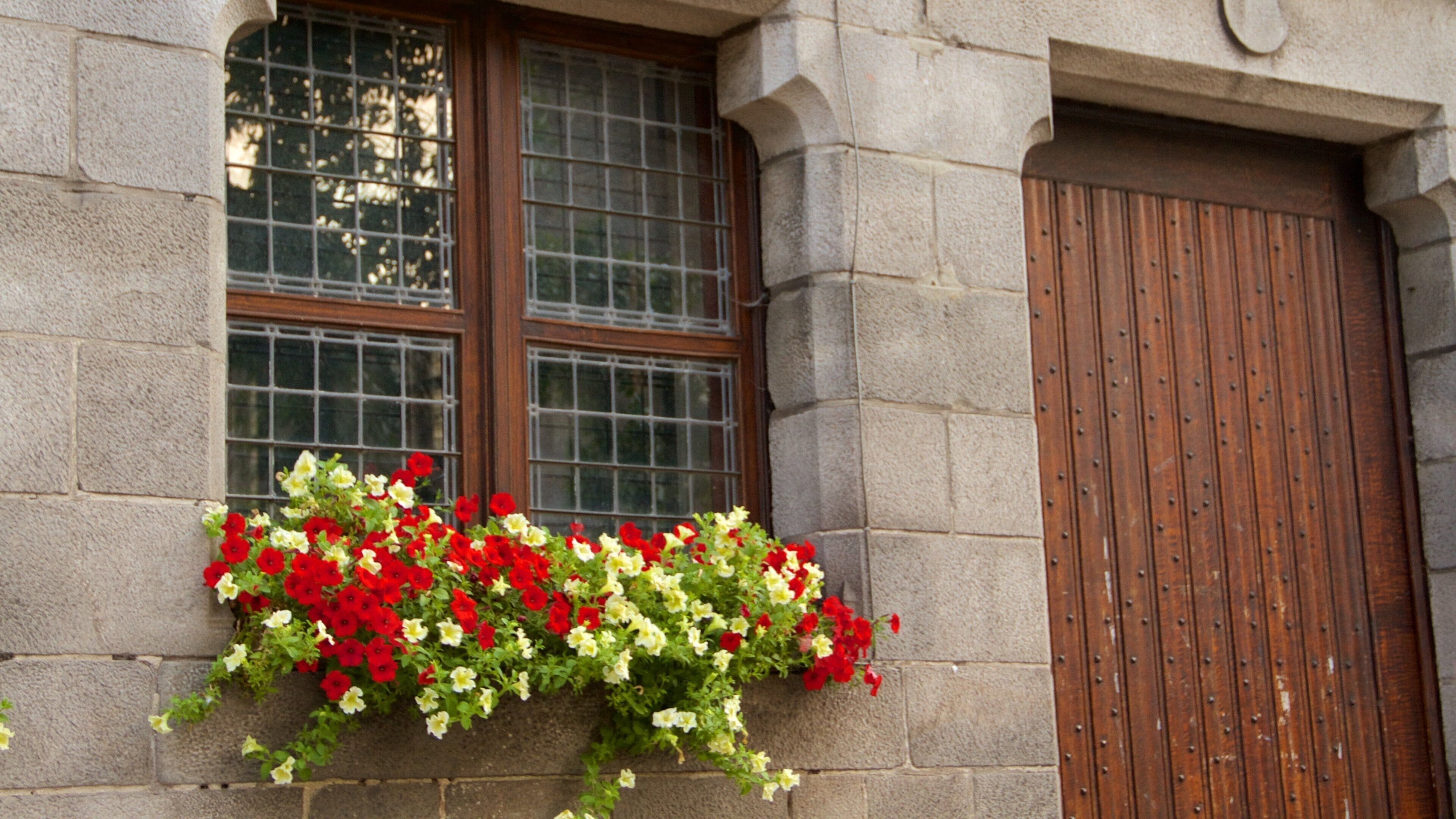 Westflandern welches beinhaltet Blumen und historische Architektur