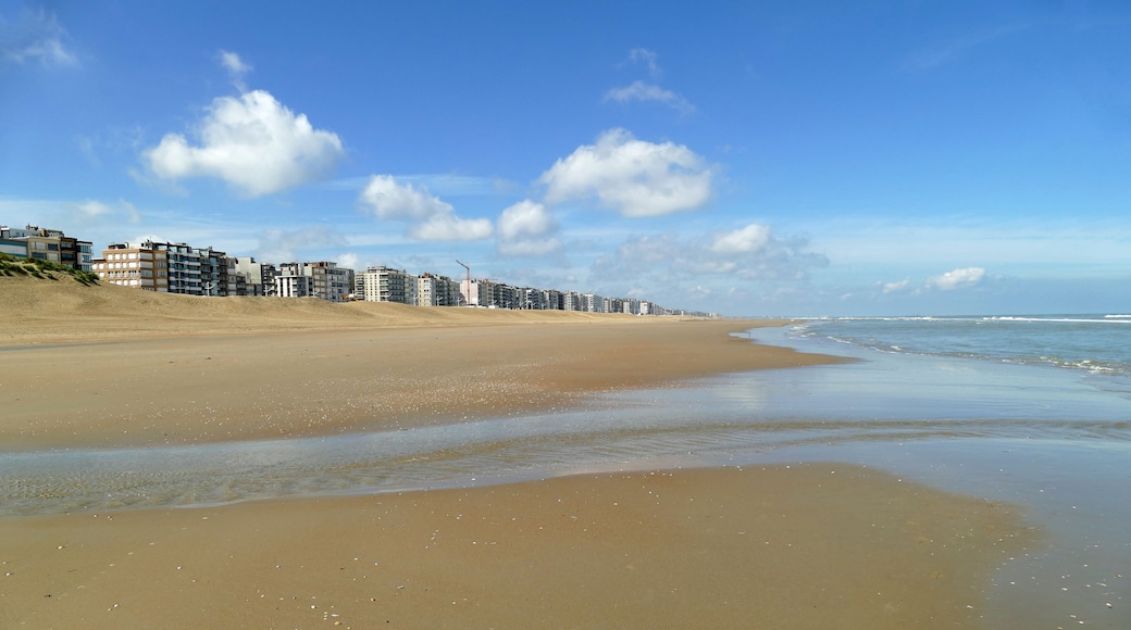 Panorama view of the broad beach in Koksijde at low tide on a beautiful day; Belgium, Europe