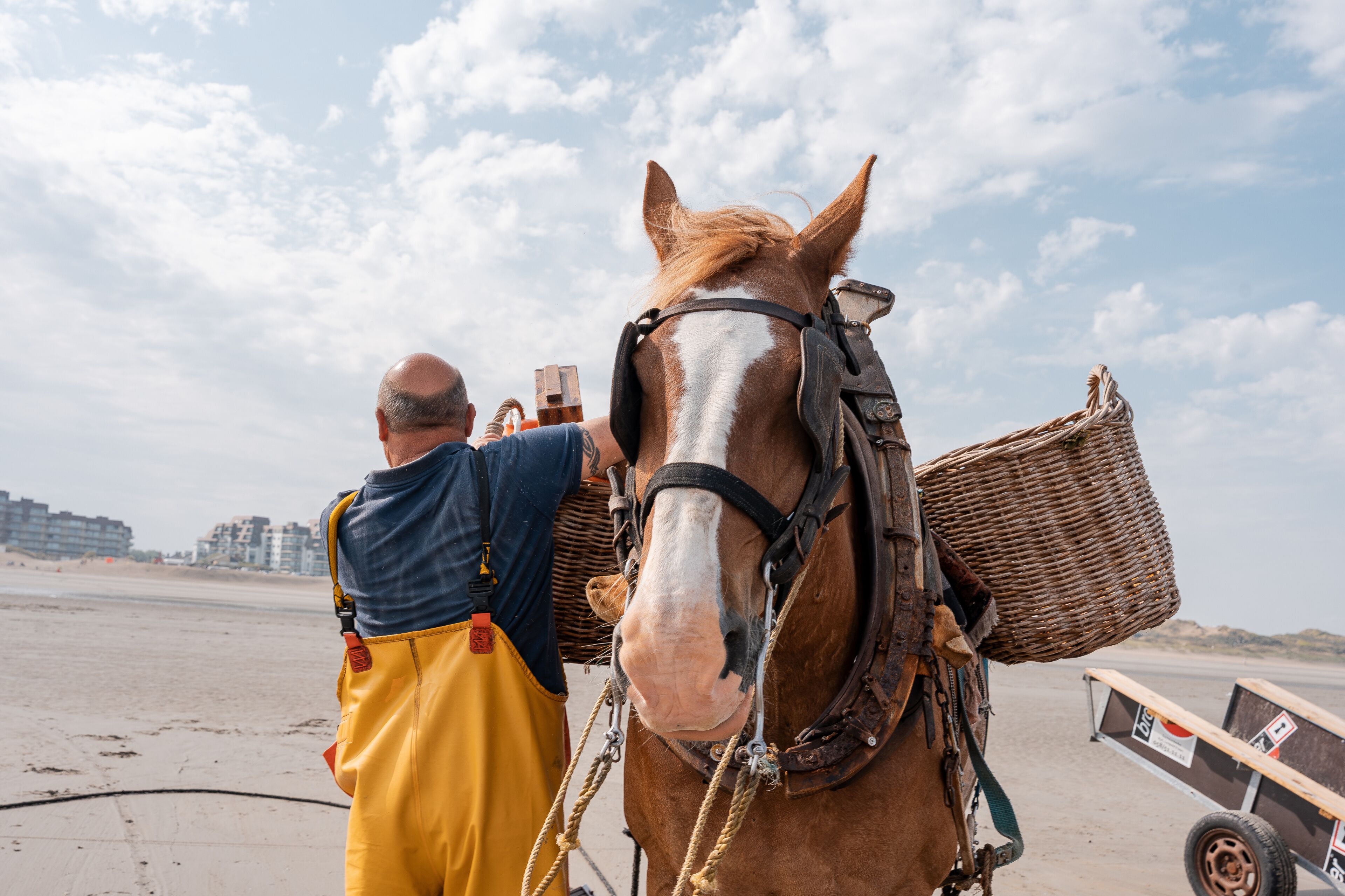 Oostduinkerke Paardevisser, garnaalvisser, kust belgie, unesco werelderfgoed