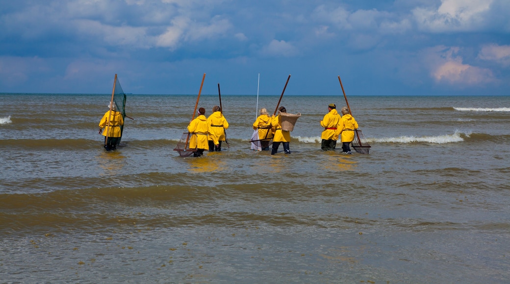 Krabbenfischer in Koksijde