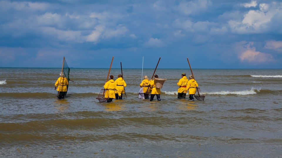 A group of people in yellow raincoats rowing a boat on a cloudy sea.
