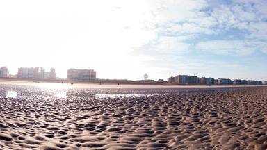 A panoramic view of a vast sandy beach with a city skyline under a bright blue sky. The tranquil scene evokes peacefulness and escape, perfect for a background or travel concept.