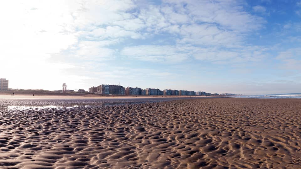 A sandy beach with footprints, a clear sky, and buildings in the background.
