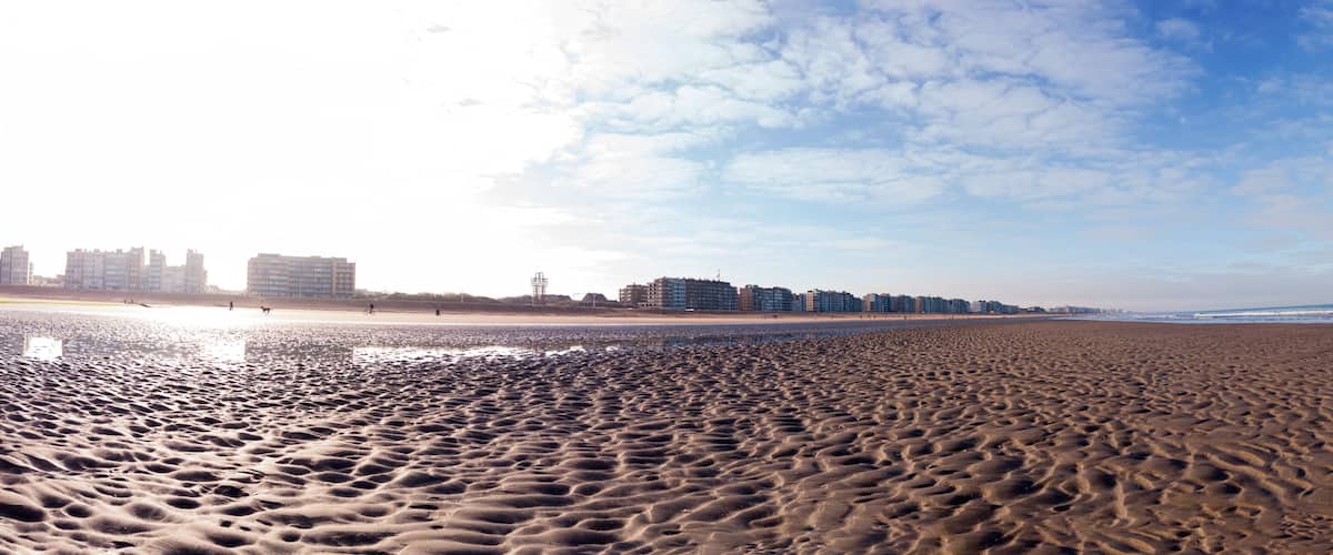A sandy beach with footprints, a clear sky, and buildings in the background.