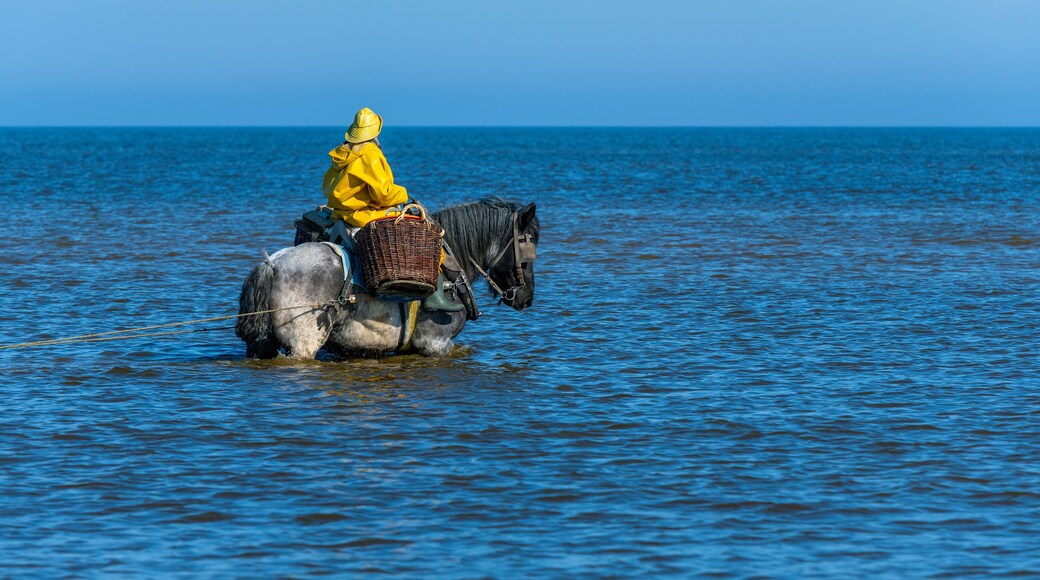 ์ฝ์ธ์ด๋