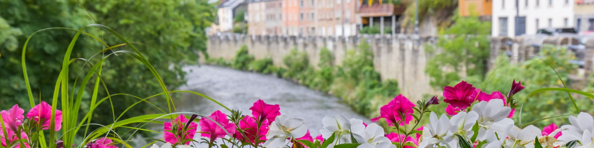 Un río con edificios al fondo y flores coloridas en primer plano.
