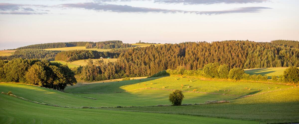 fields and forests in countryside landscape of belgian province namur