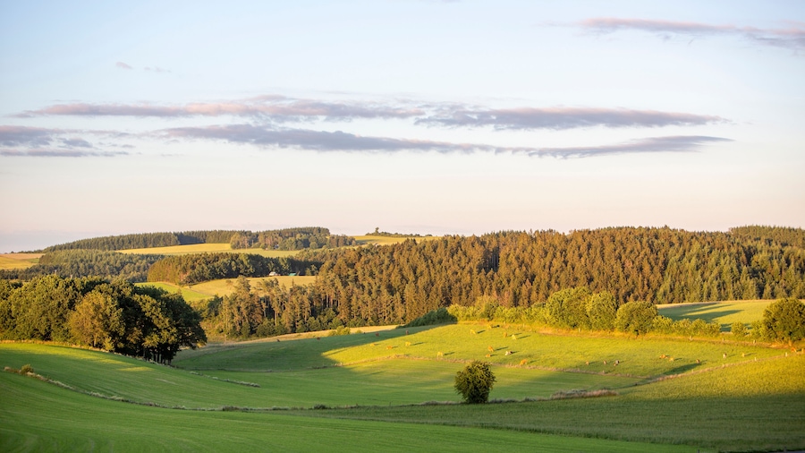 fields and forests in countryside landscape of belgian province namur