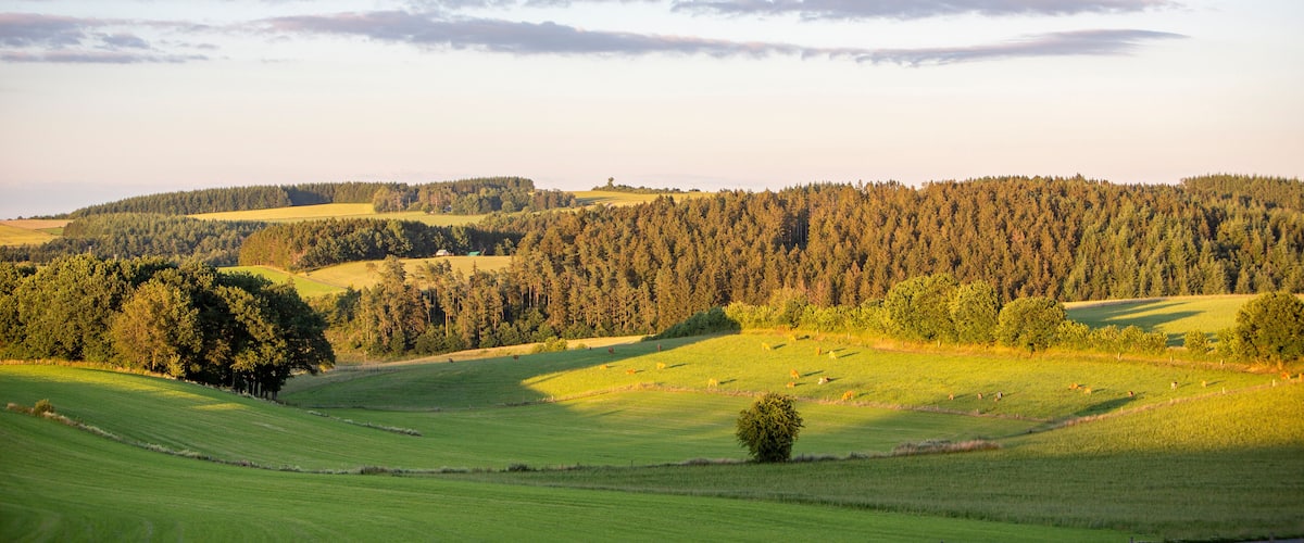 Rolling green hills, a dense forest, and a clear sky.