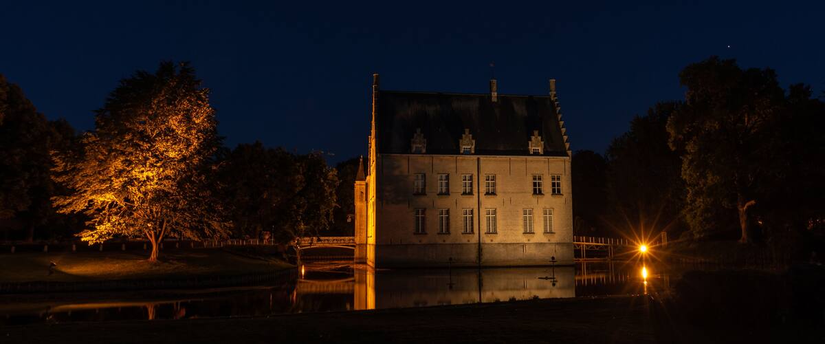 A large, illuminated castle at night with a moat in front.