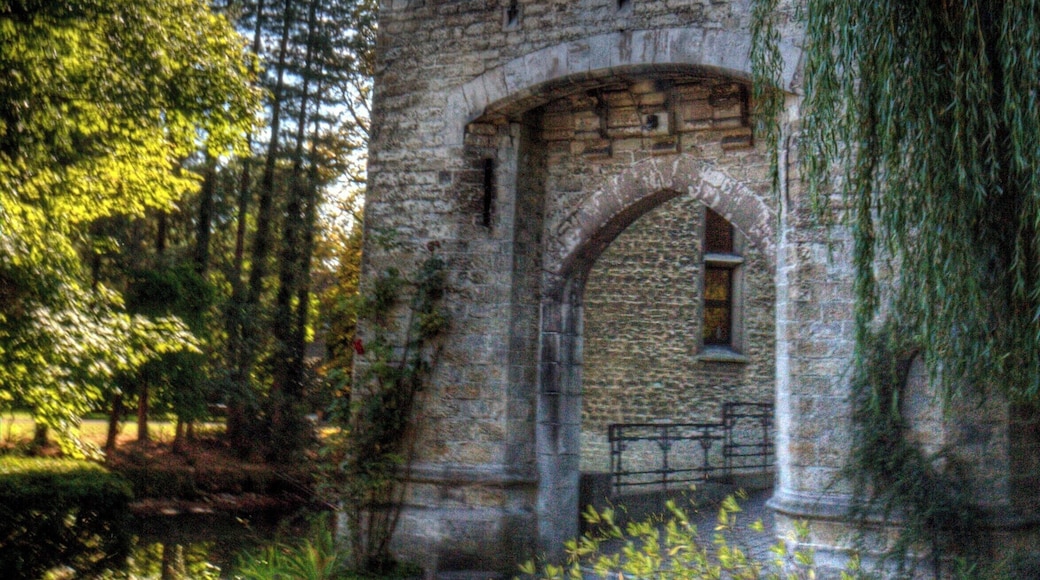Kasteel van Zellaar, Bonheiden
https://nl.wikipedia.org/wiki/Kasteel_van_Zellaer
#castle #hdr