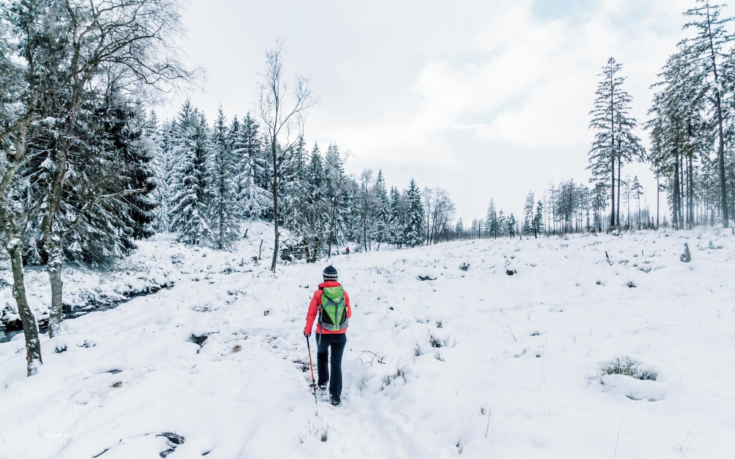 Great hike from haus Ternell to the highest point in Belgium called Signal de Botrange. Great forest with pines and little rivers. The snow makes it just that little more special. #weroambelgium #troveon #ardennes #belgium #hiking #winter #snow #red

For more, check out:
https://www.facebook.com/ShotByCanipel/