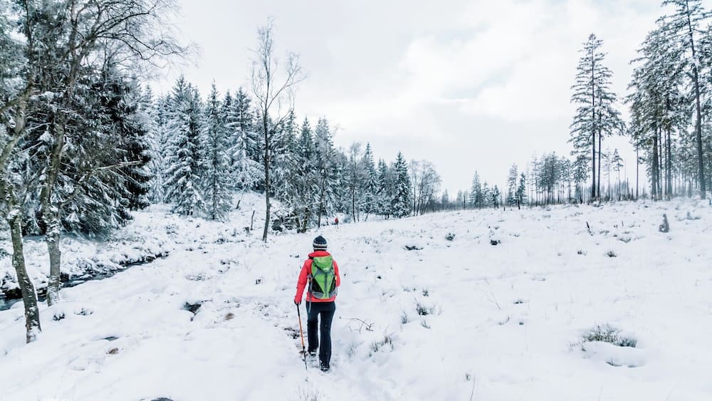 Great hike from haus Ternell to the highest point in Belgium called Signal de Botrange. Great forest with pines and little rivers. The snow makes it just that little more special. #weroambelgium #troveon #ardennes #belgium #hiking #winter #snow #red
For more, check out:
https://www.facebook.com/ShotByCanipel/