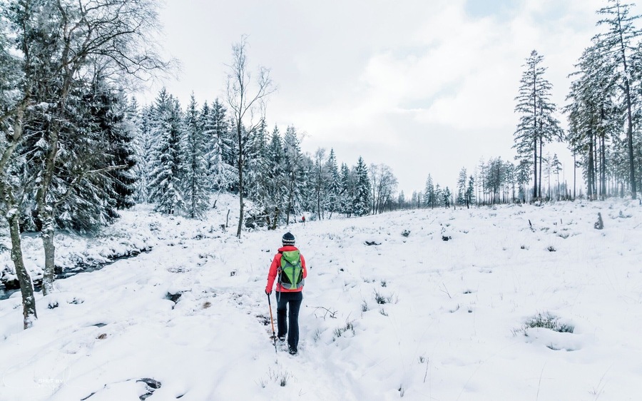 Great hike from haus Ternell to the highest point in Belgium called Signal de Botrange. Great forest with pines and little rivers. The snow makes it just that little more special. #weroambelgium #troveon #ardennes #belgium #hiking #winter #snow #red
For more, check out:
https://www.facebook.com/ShotByCanipel/