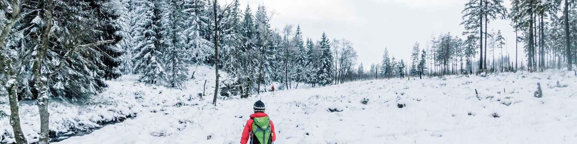 Great hike from haus Ternell to the highest point in Belgium called Signal de Botrange. Great forest with pines and little rivers. The snow makes it just that little more special. #weroambelgium #troveon #ardennes #belgium #hiking #winter #snow #red
For more, check out:
https://www.facebook.com/ShotByCanipel/