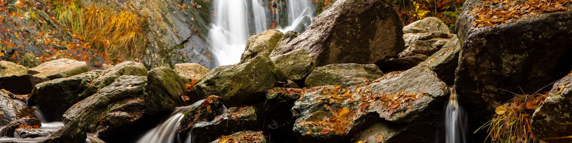 Cascade of Bayehon the highest waterfall of Belgium in the Ardeness, the Bayehon is a wild stream that rises in Neûr Lowé Fen. In Longfaye it hurls itself into the depths as a waterfall.