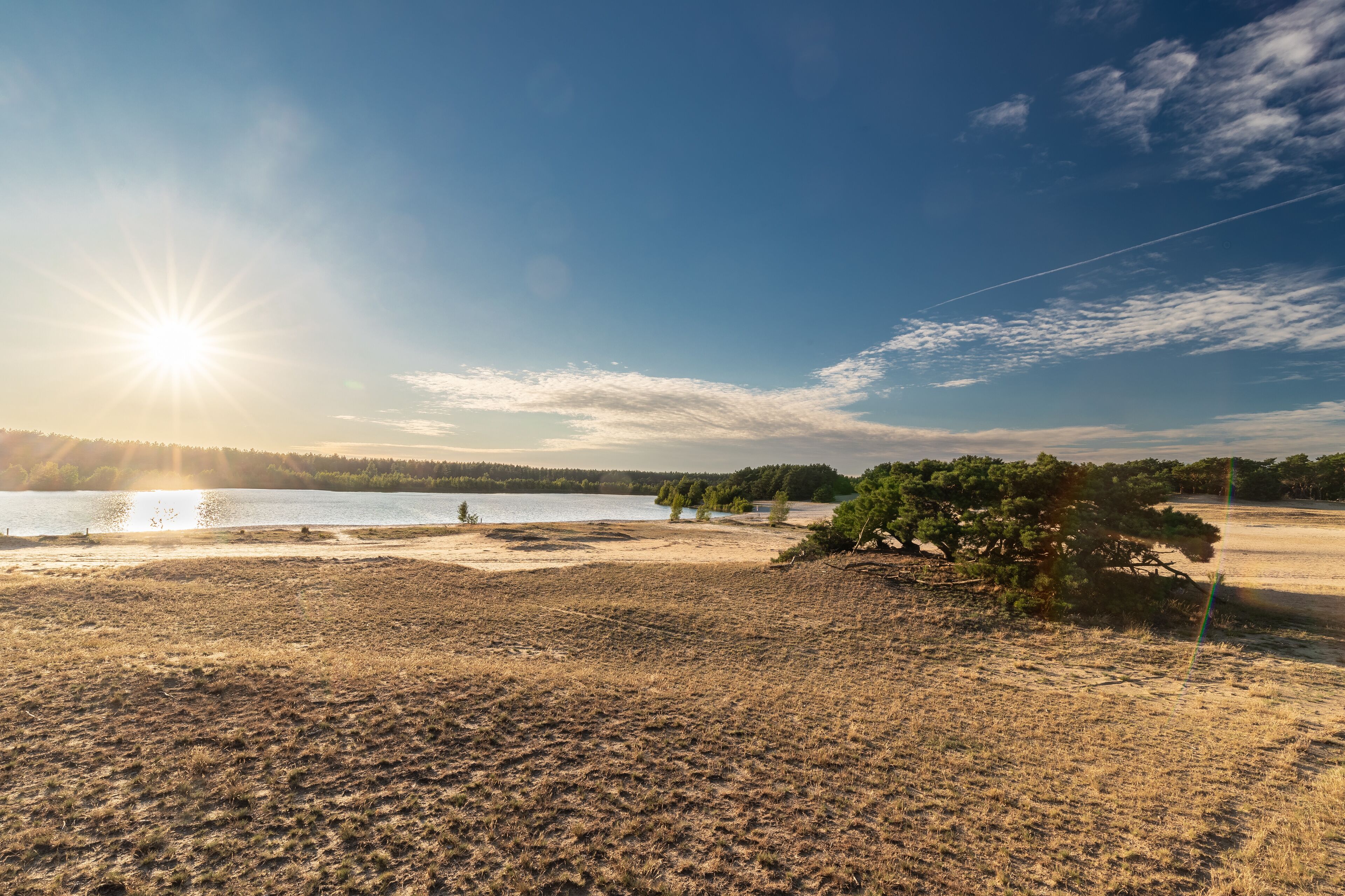 A lakeside landscape with a clear sky, a sun low on the horizon, and a few trees.