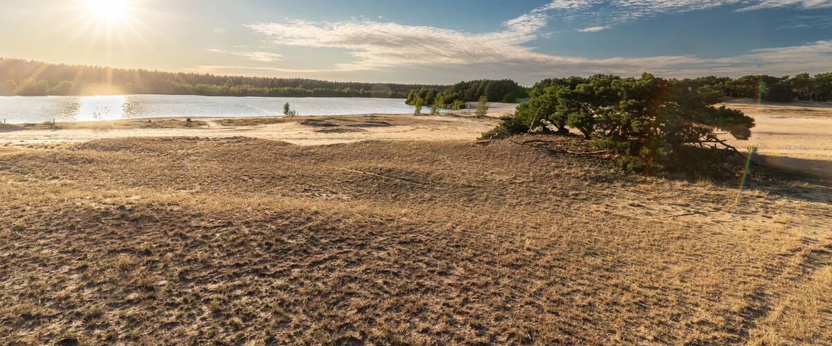 A lakeside landscape with a clear sky, a sun low on the horizon, and a few trees.