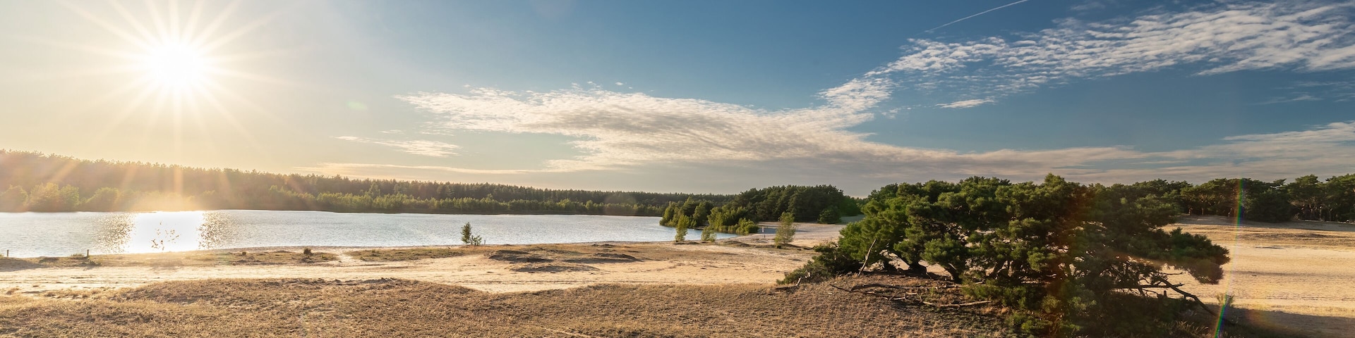 A lakeside landscape with a clear sky, a sun low on the horizon, and a few trees.