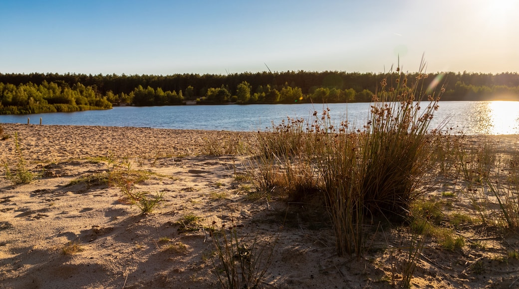 A dramatic and colourful sunset over the Lommelse Sahara, a National Park with sand dunes in Belgium with beautiful reflections in the lake of the clouds and natural colours.