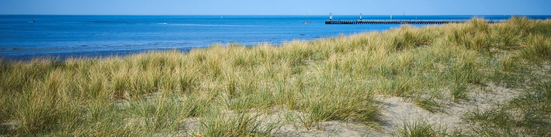 Sandy dunes with grass / Beach of Belgium near Nieuwpoort