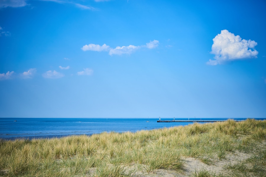 Sandy dunes with grass / Beach of Belgium near Nieuwpoort