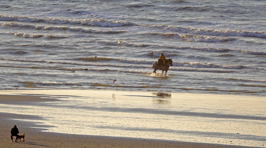 Krabbenfischer zu Pferde