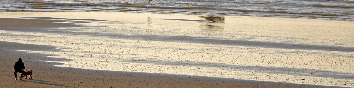 Krabbenfischer zu Pferde