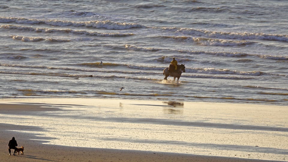 A beach with waves, a horse, and a person walking a dog.